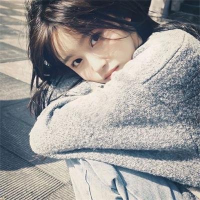 科搜研之女第23季