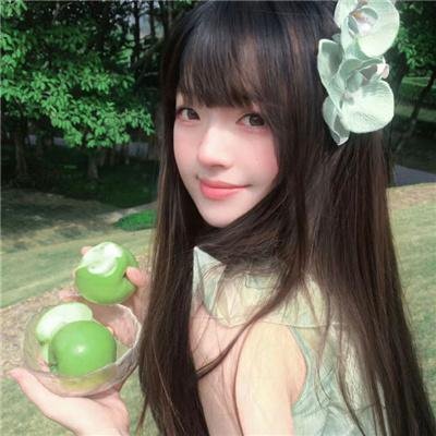 龙公主的冒险